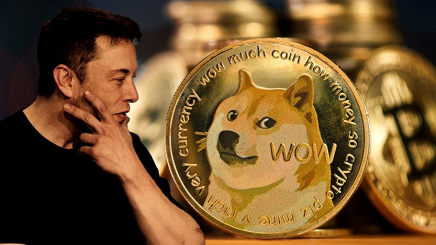 马斯克官宣担任$Troll CTO,再度上演Meme奇迹!5招教你轻松玩转土狗币