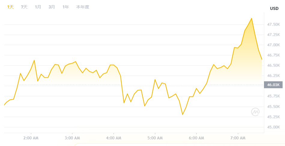 比特币现货 ETF 获批,十年「马拉松」落下帷幕