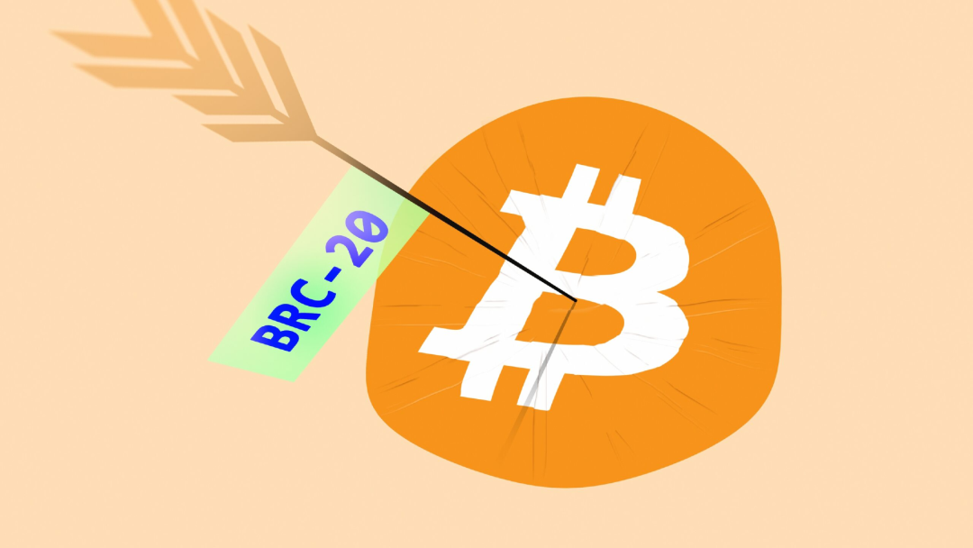 2023波卡生态发展年度报告:焕然一新!