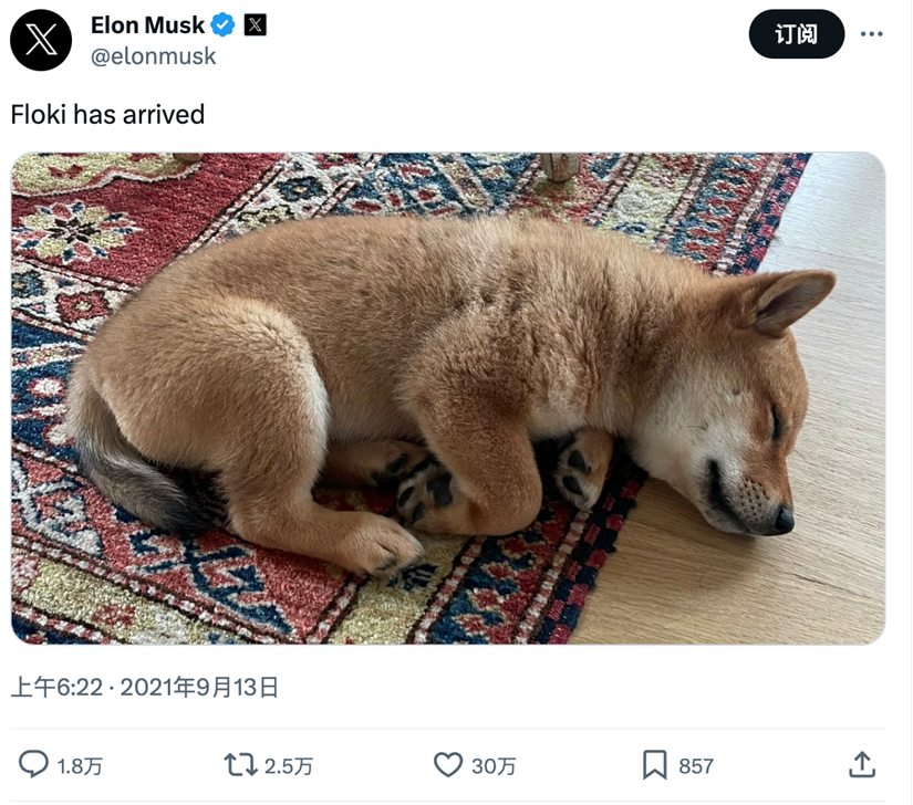 马斯克、V神引领meme币狂潮!meme币有望成为主流?未来前景大揭秘!