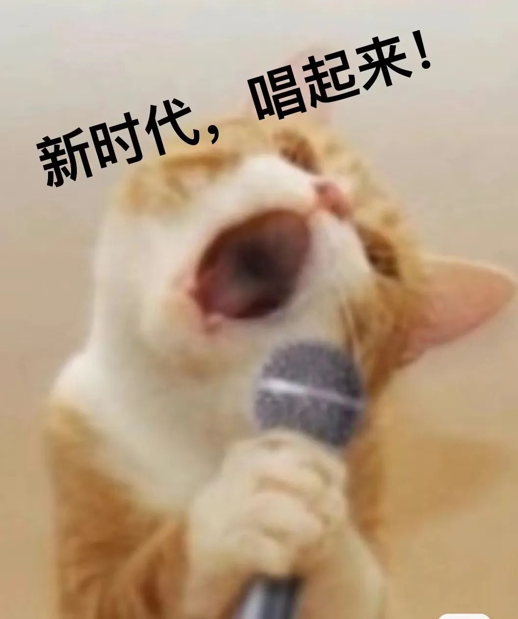 Web3音乐是新时代的摇滚革命，我在北锣胡同跟摇滚老炮聊了聊Web3