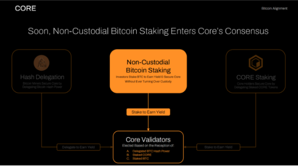 比特币驱动的公链 Core，能否成为 BTCFi 最优解？