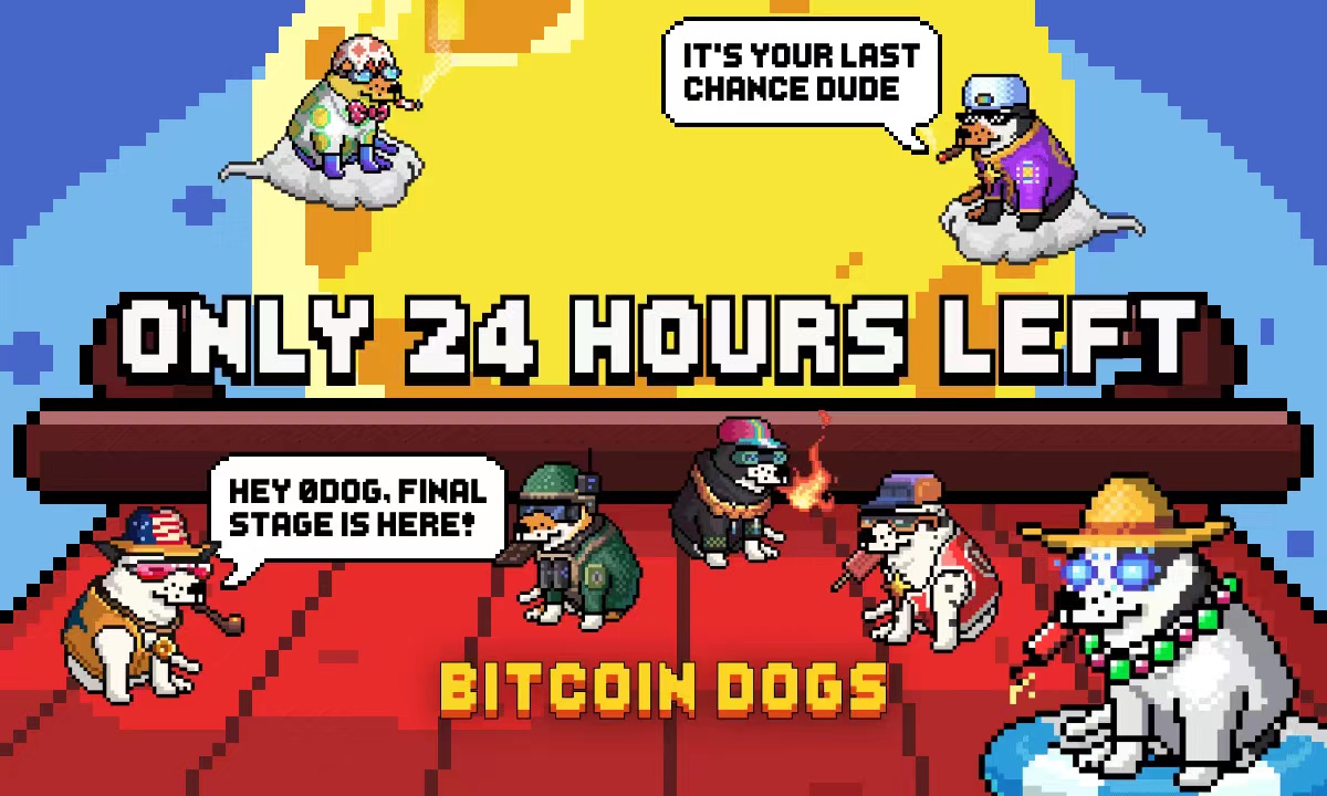 募资超1200万美元,Bitcoin Dogs距预售结束仅剩约24小时