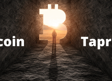 BTC,PCX