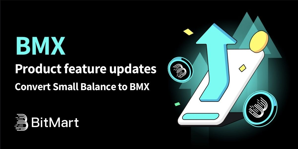 BMX Q2 市场表现分析报告