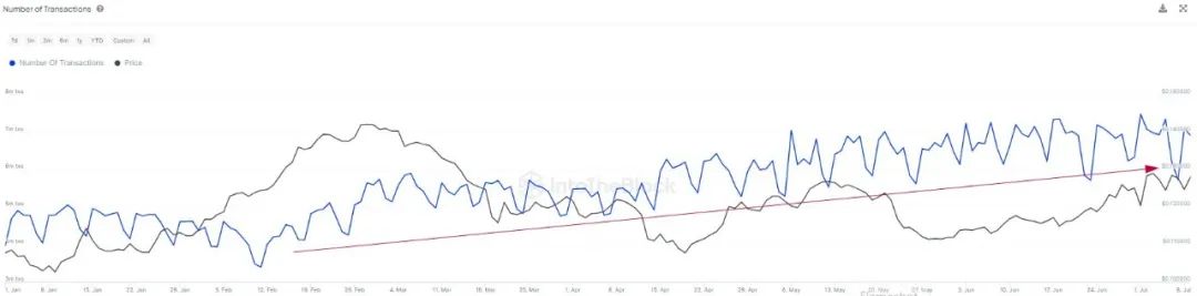 IntoTheBlock：波场网络日均交易笔数达675万，呈持续上升趋势