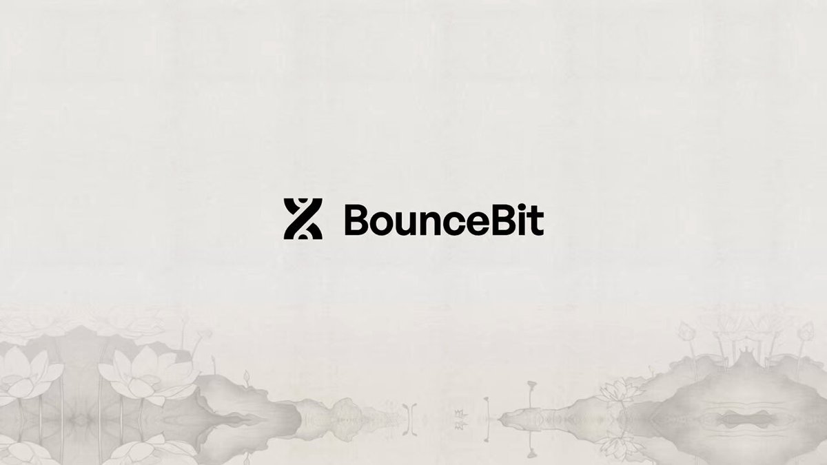 专访BounceBit:V2前瞻,化繁为简