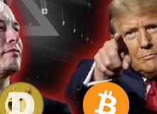 BTC,DOGE,USDC