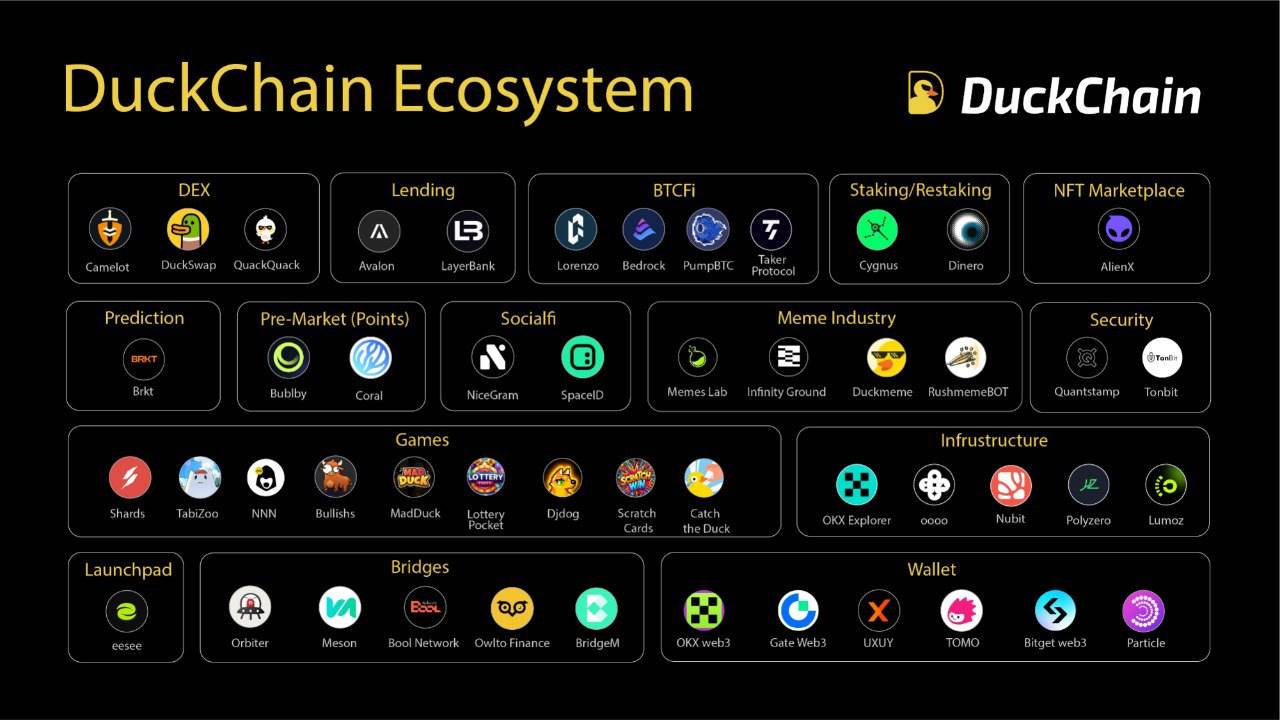 对话 DuckChain 创始人：做有趣的社区，建立消费者生态，服务近十亿用户