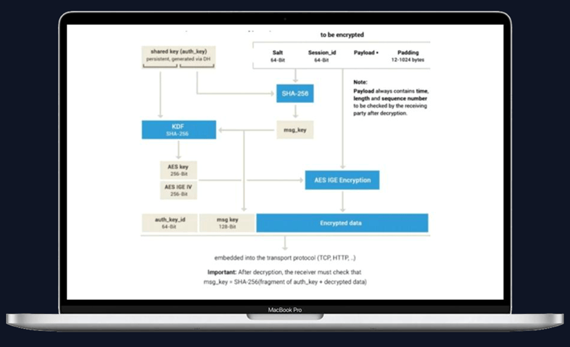 Meta Social:Web3社交领域中的一个标志性应用