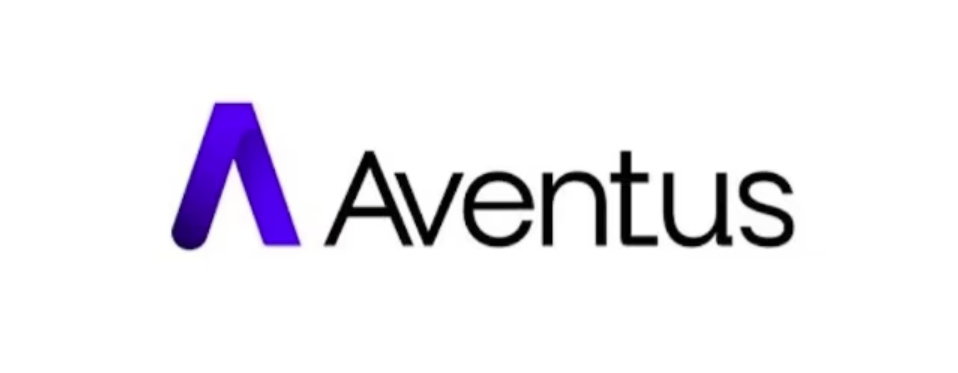 海量企业正涌入Web3，Aventus Network如何借力波卡迎接这波浪潮