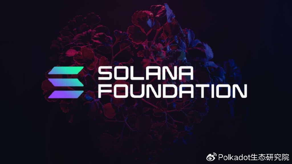知己知彼百战百胜,波卡如何借鉴Solana与Base的发展迎来2025新增长