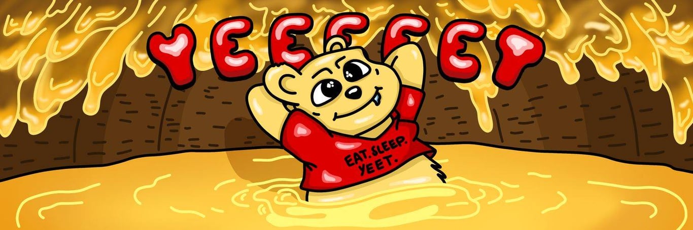 Berachain 主网上线，哪些优质项目已经启动？