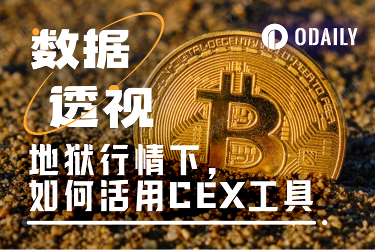 地狱行情下的高胜率策略:如何活用理财工具应对低谷?