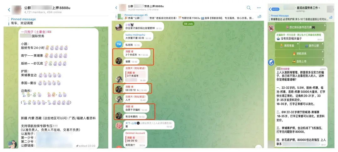  领航担保