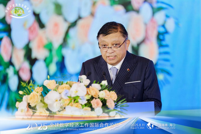 2025全球数字经济国际合作论坛在中国·海口成功召开