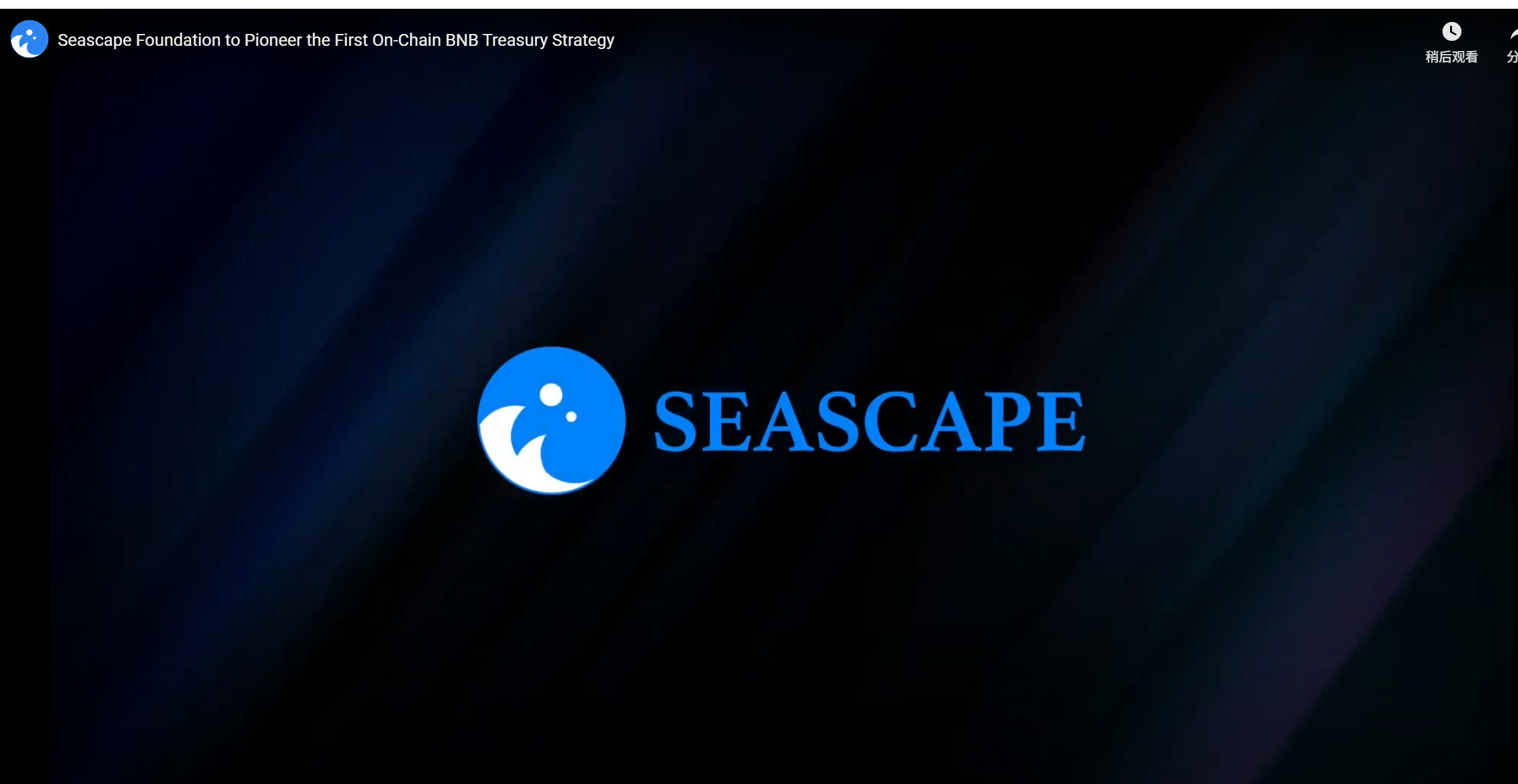Seascape基金会发布首个链上BNB财库战略,为游戏生态注入新的资本脉搏