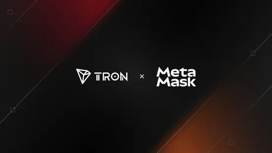 波场TRON与MetaMas联合举办活动，深化全球社区与开发者协作