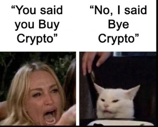 当美股吞噬 Crypto,请查收这份「美股入门 & 进阶指南」