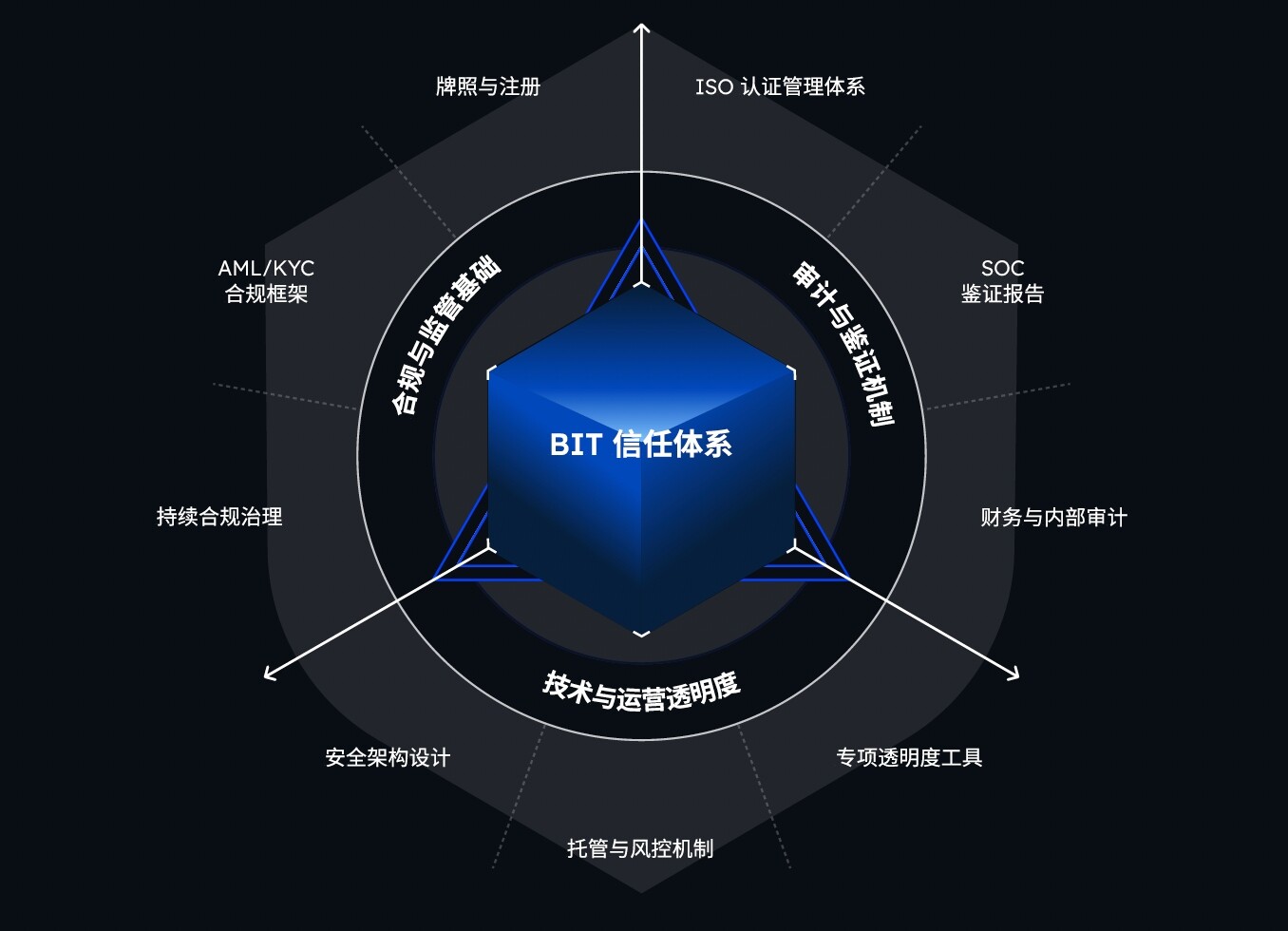当“安全”再次成为焦点,BIT如何让信任变得可验证?