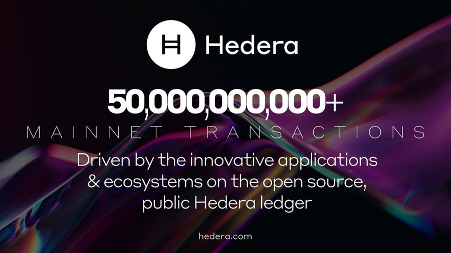 Hedera主网上线以来已处理超500亿笔交易