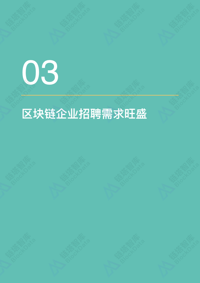 人才白皮书.012.jpeg