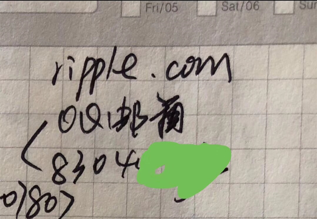 陈伟星