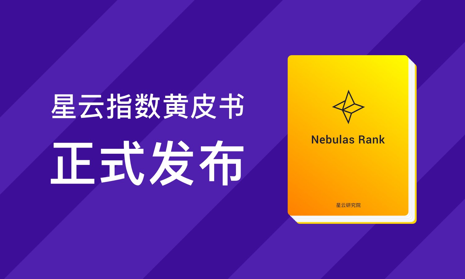 黄皮书