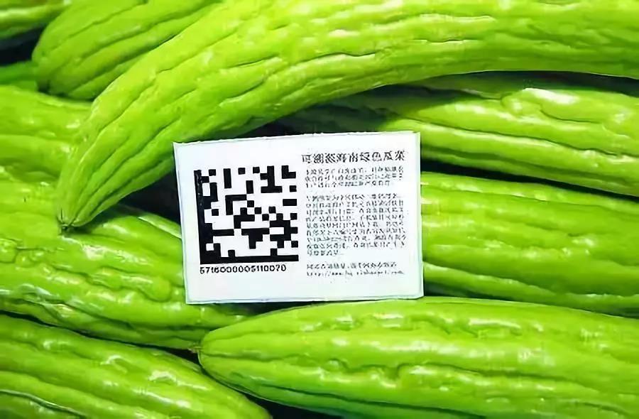 大公司专题报道