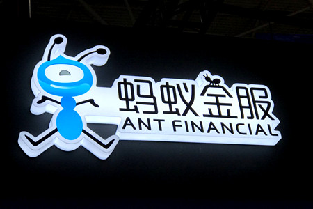 大公司专题报道