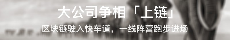 大公司专题报道