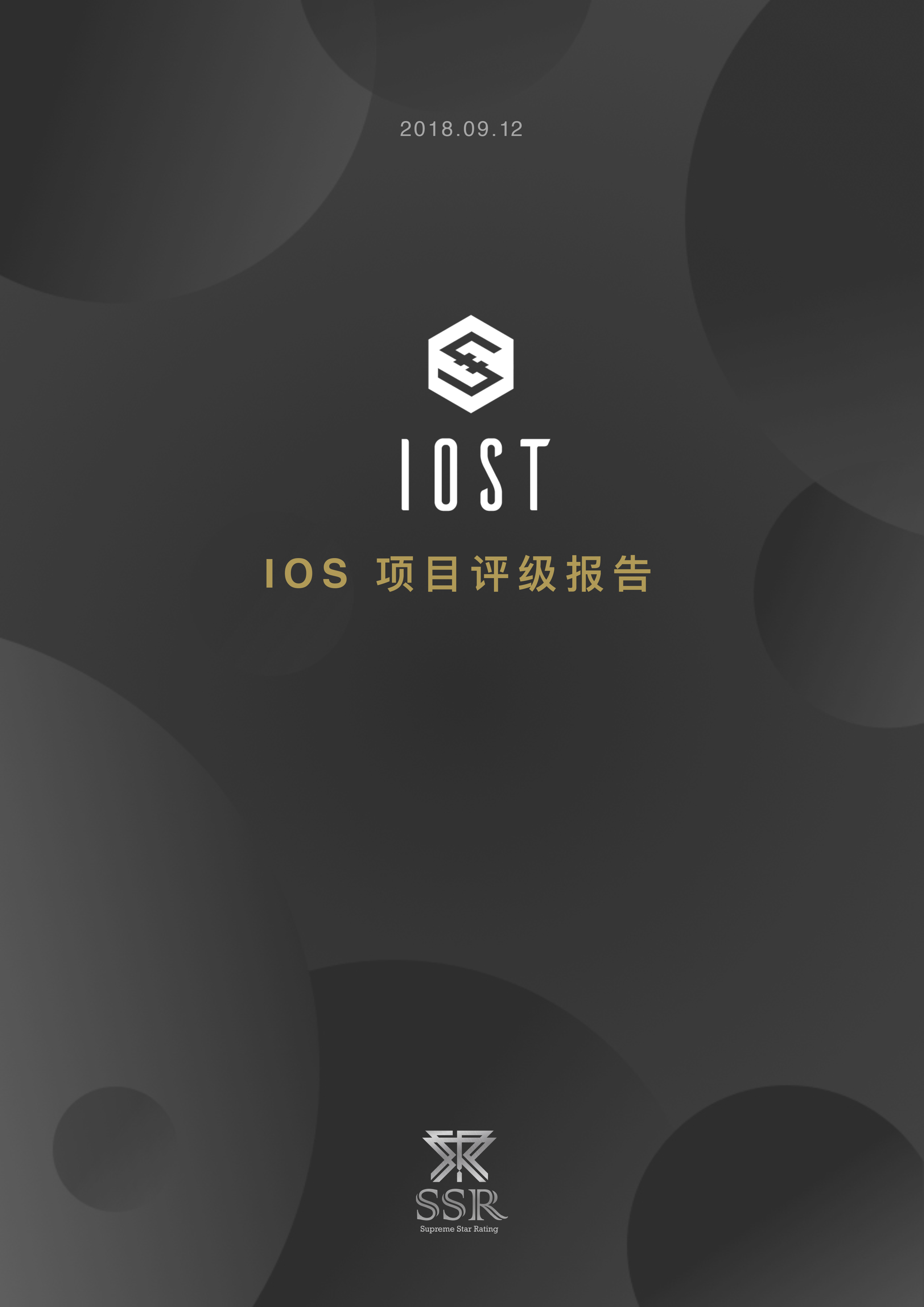 项目分析