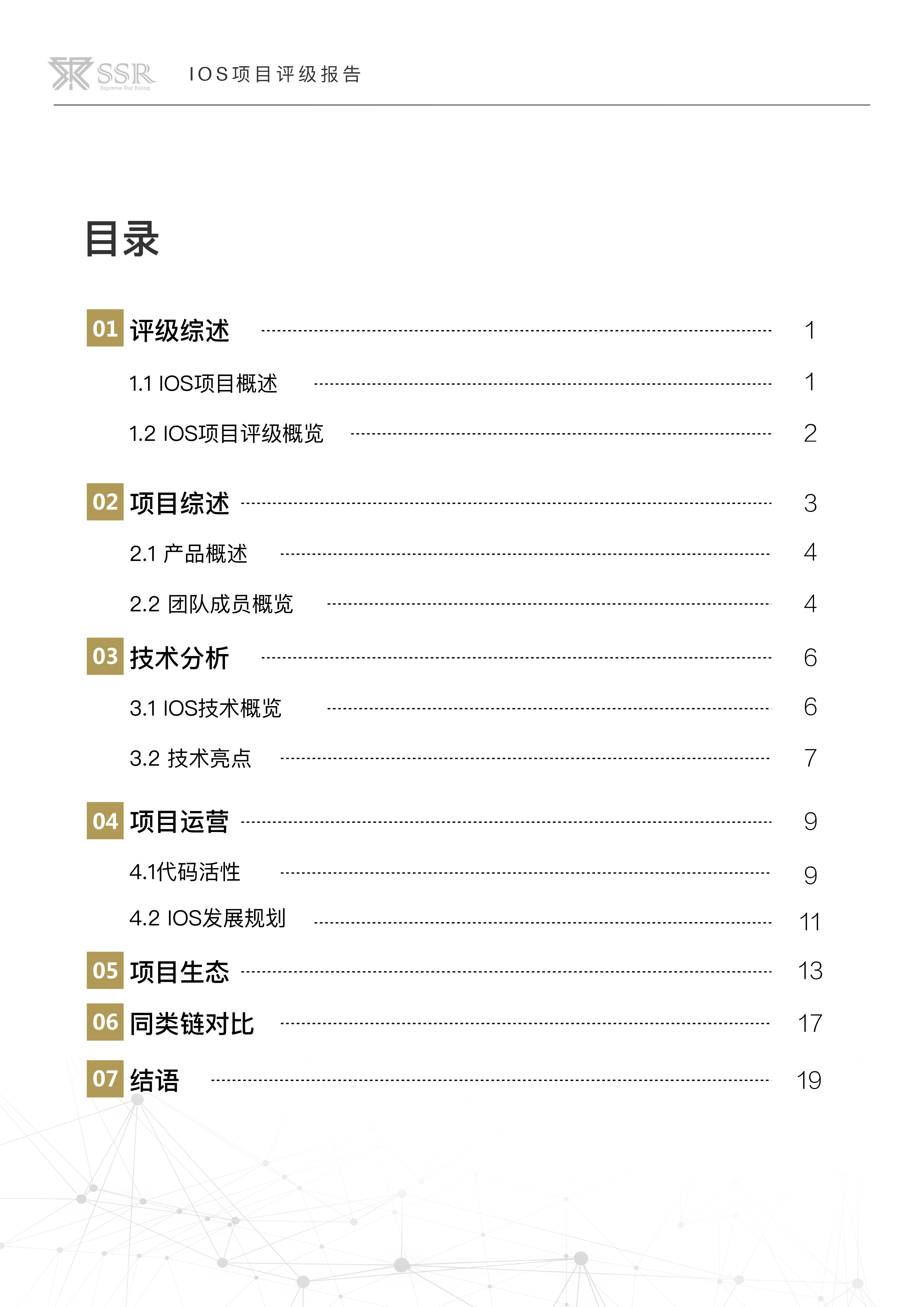 项目分析