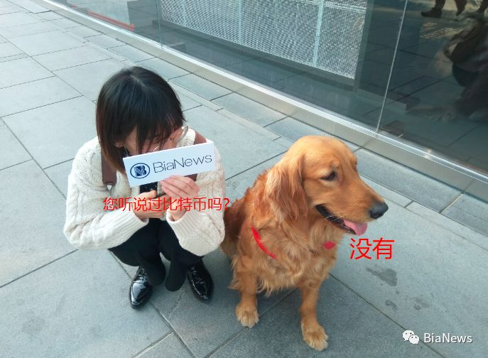 比特币十年