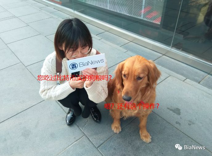 比特币十年