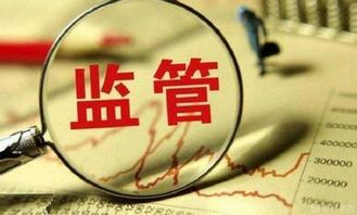 白皮书