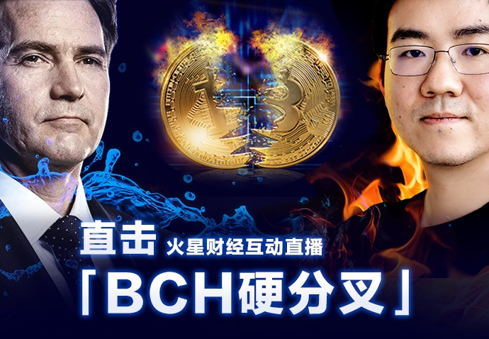 ç´æ­é¢åï¼ç´å»ãBCHç¡¬ååãï¼ä½&nbsp;æ¯æè°ï¼