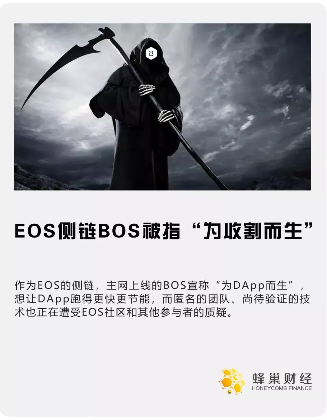 老猫