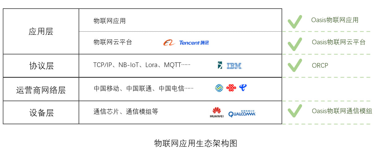 绿洲网络