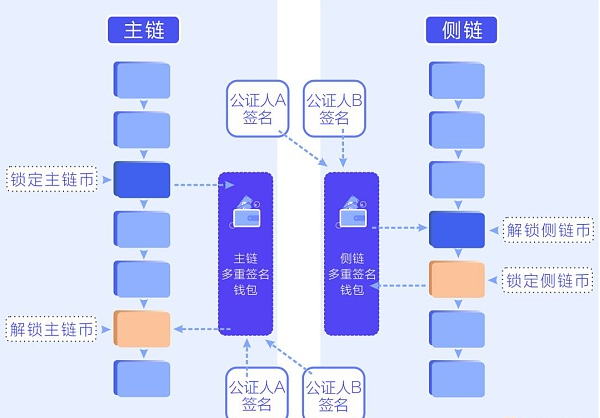 侧链