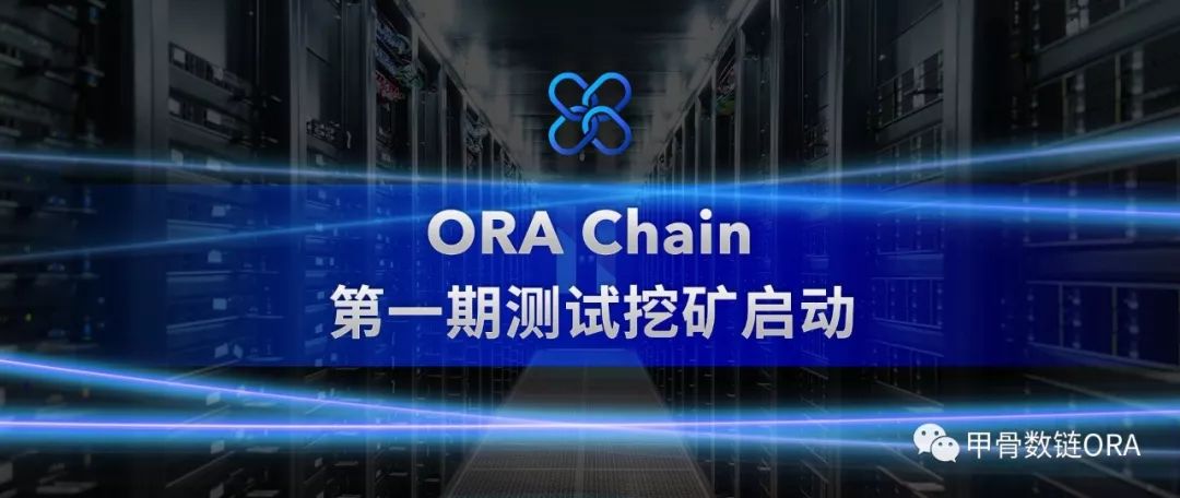 项目月报