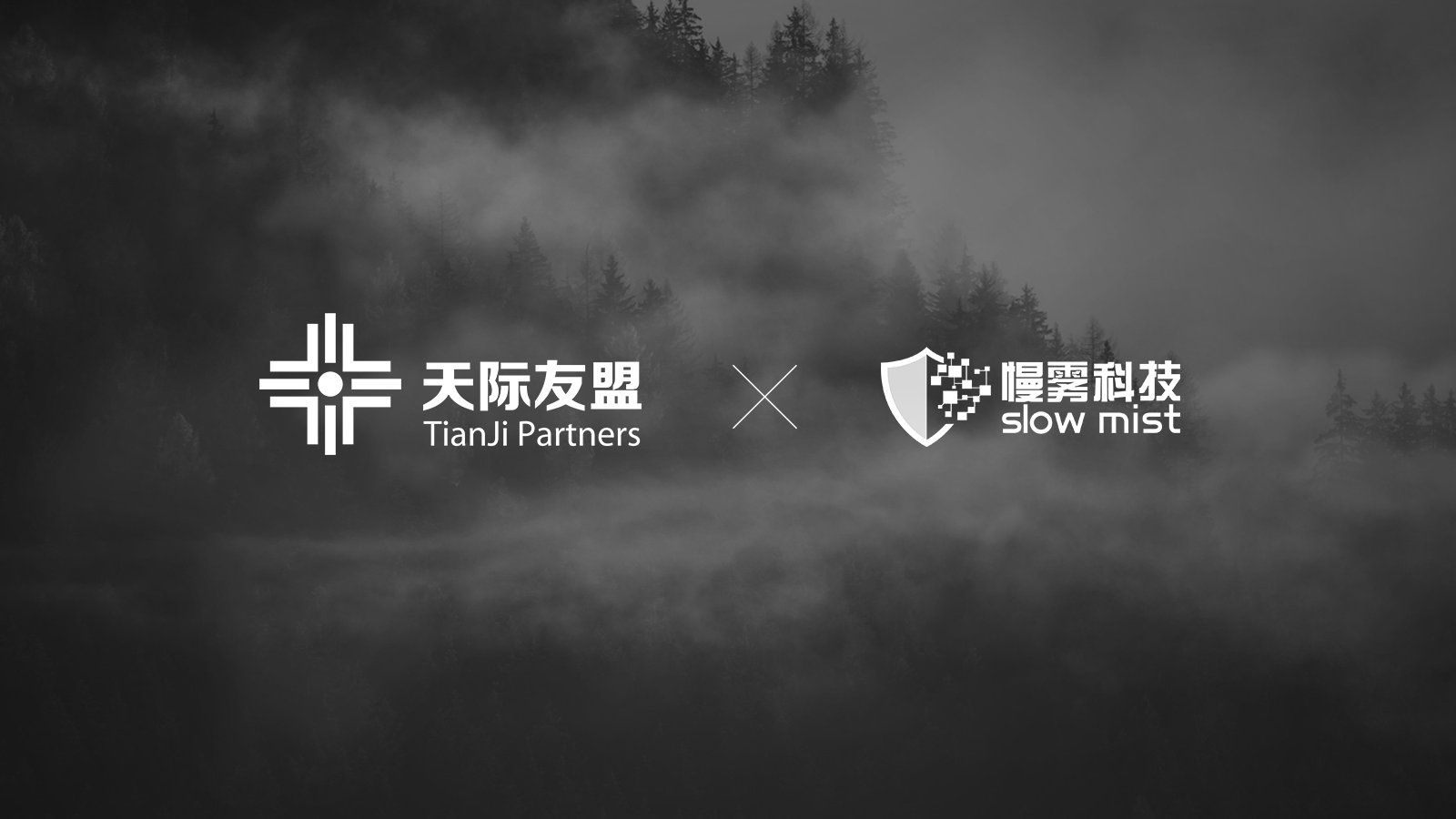 安全情报