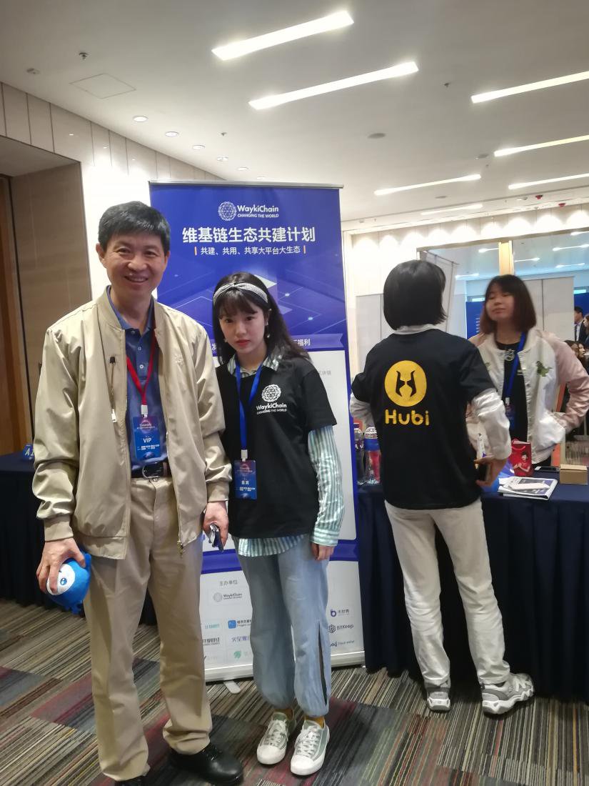 维基链