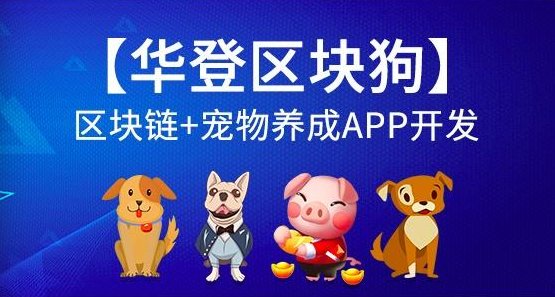 资金盘