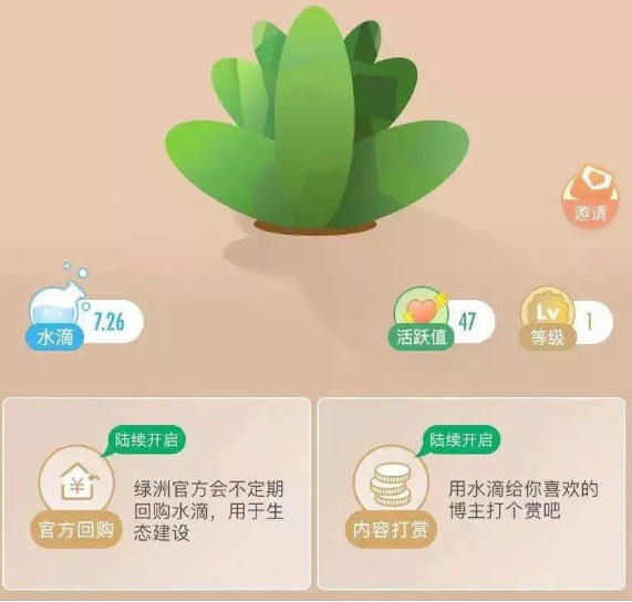 绿洲