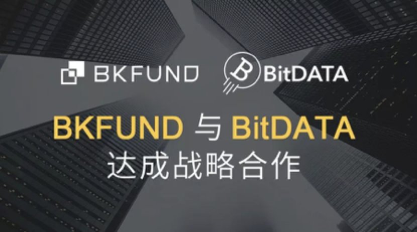 BitDATA