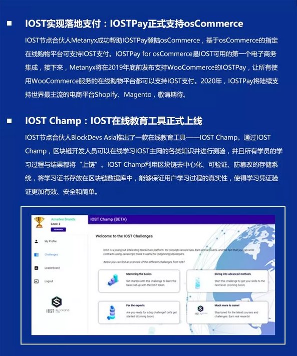 双周报