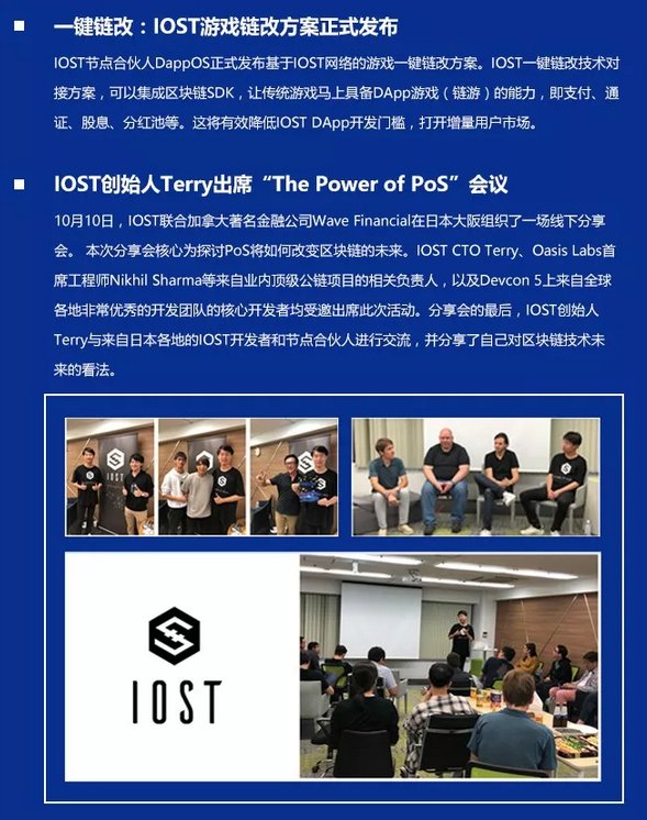 双周报