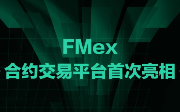 FMex合约交易