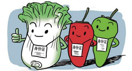 实名制